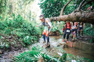 BIB: 
                            <button type="button" onclick="openModal(25514981)" class="btn btn-primary btn-sm float-right btn-popup" data-toggle="modal" data-target=".modal-high-quality">
                        <i class="fas fa-shopping-cart"></i> Add to Cart
                    </button>
                                            <button type="button" onclick="isThisMe(25514981, true)" class="btn btn-success btn-sm float-right btn-popup btn-isme hidden" data-toggle="tooltip" data-placement="bottom" title="นี่คือรูปของคุณใช่ไหม คลิกที่นี่เพื่อเอาเข้าอัลบั้ม">
                        <i class="fas fa-plus"></i> Add to album
                    </button>
                    <button type="button" onclick="isThisMe(25514981, false)" class="btn btn-warning btn-sm float-right btn-popup btn-isnotme hidden">
                        <i class="fas fa-ban"></i> Remove from album
                    </button>